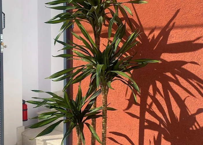 Leon Private Дом отдыха *