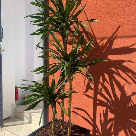 Leon Private Hébergement de vacances *